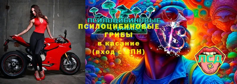 mega зеркало  где можно купить   Вилюйск  Галлюциногенные грибы Magic Shrooms 